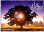 Ramad�n Karim