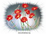 Ramad�n6