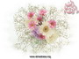 Bodas2